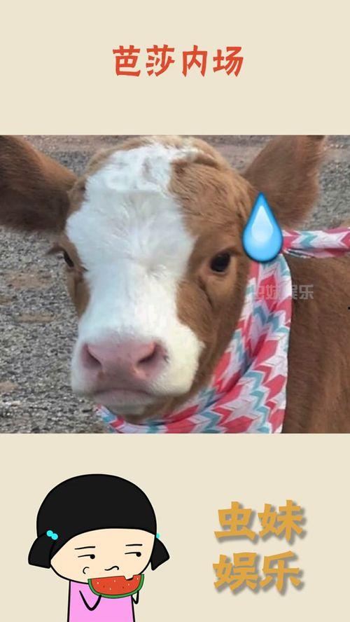 娱乐吃瓜酱网图,揭秘娱乐圈最新热点,带你领略明星幕后故事 第1张 娱乐吃瓜酱网图,揭秘娱乐圈最新热点,带你领略明星幕后故事 第1张